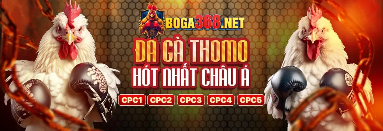 Các chương trình khuyến mãi và ưu đãi hấp dẫn tại Xin888